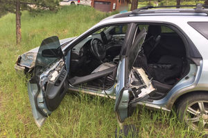 Bear crashes car into tree